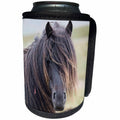 3dRose Danita Delimont - Horses - Black Shetland Pony on the island of Unst, Shetland Islands. Scotland - Can Cooler Bottle Wrap (cc_257941)