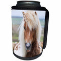 3dRose Danita Delimont - Horses - Shaggy Shetland Pony, island of Unst, Shetland Islands. Scotland - Can Cooler Bottle Wrap (cc_257943)