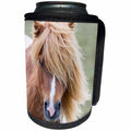 3dRose Danita Delimont - Horses - Shetland Pony portrait, island of Unst, Shetland Islands. Scotland - Can Cooler Bottle Wrap (cc_257945)