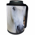 3dRose Danita Delimont - Horses - White Shetland Pony on the island of Unst, Shetland Islands, Scotland - Can Cooler Bottle Wrap (cc_257946)