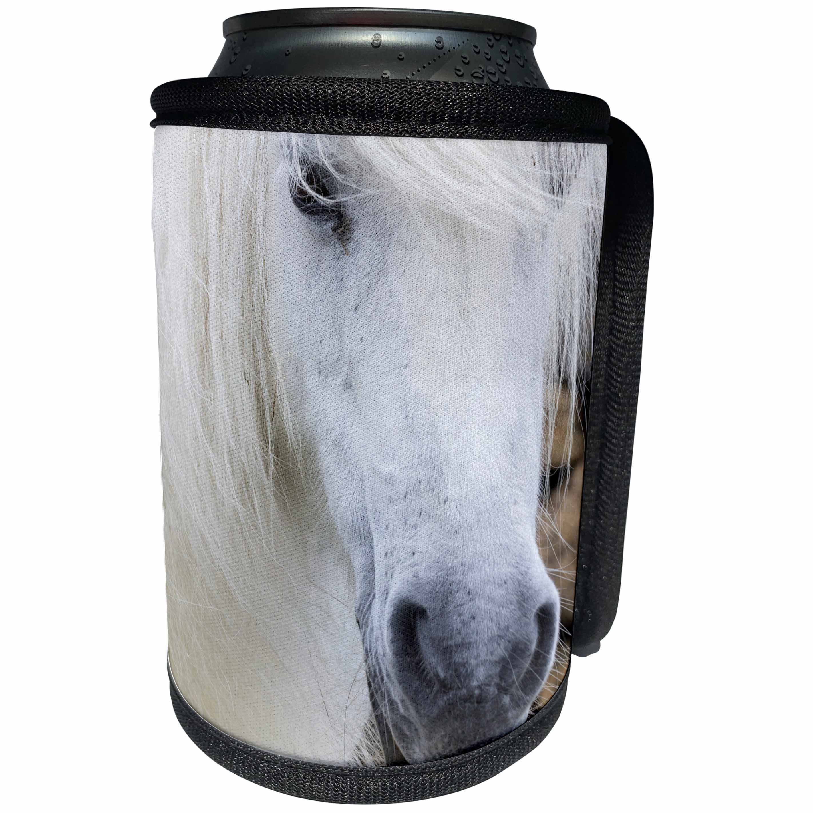 3dRose Danita Delimont - Horses - White Shetland Pony on the island of Unst, Shetland Islands, Scotland - Can Cooler Bottle Wrap (cc_257946)