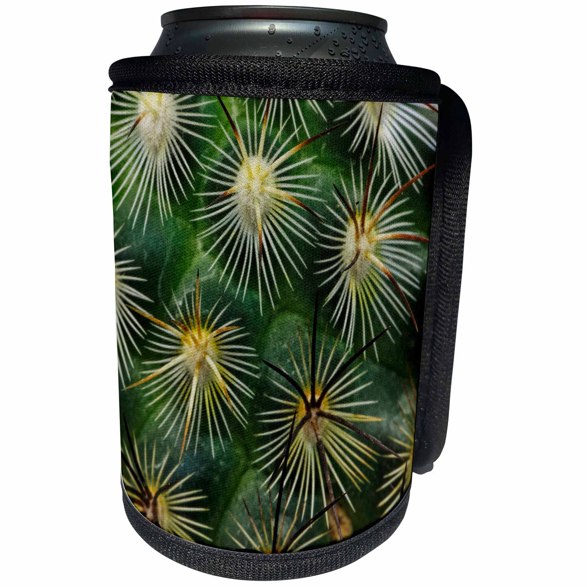 3dRose Danita Delimont - Cactus - Pattern of small cactus spines - Can Cooler Bottle Wrap (cc_257979)