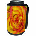 3dRose Danita Delimont - Flowers - Delicate yellow and red rose petals - Can Cooler Bottle Wrap (cc_257983)