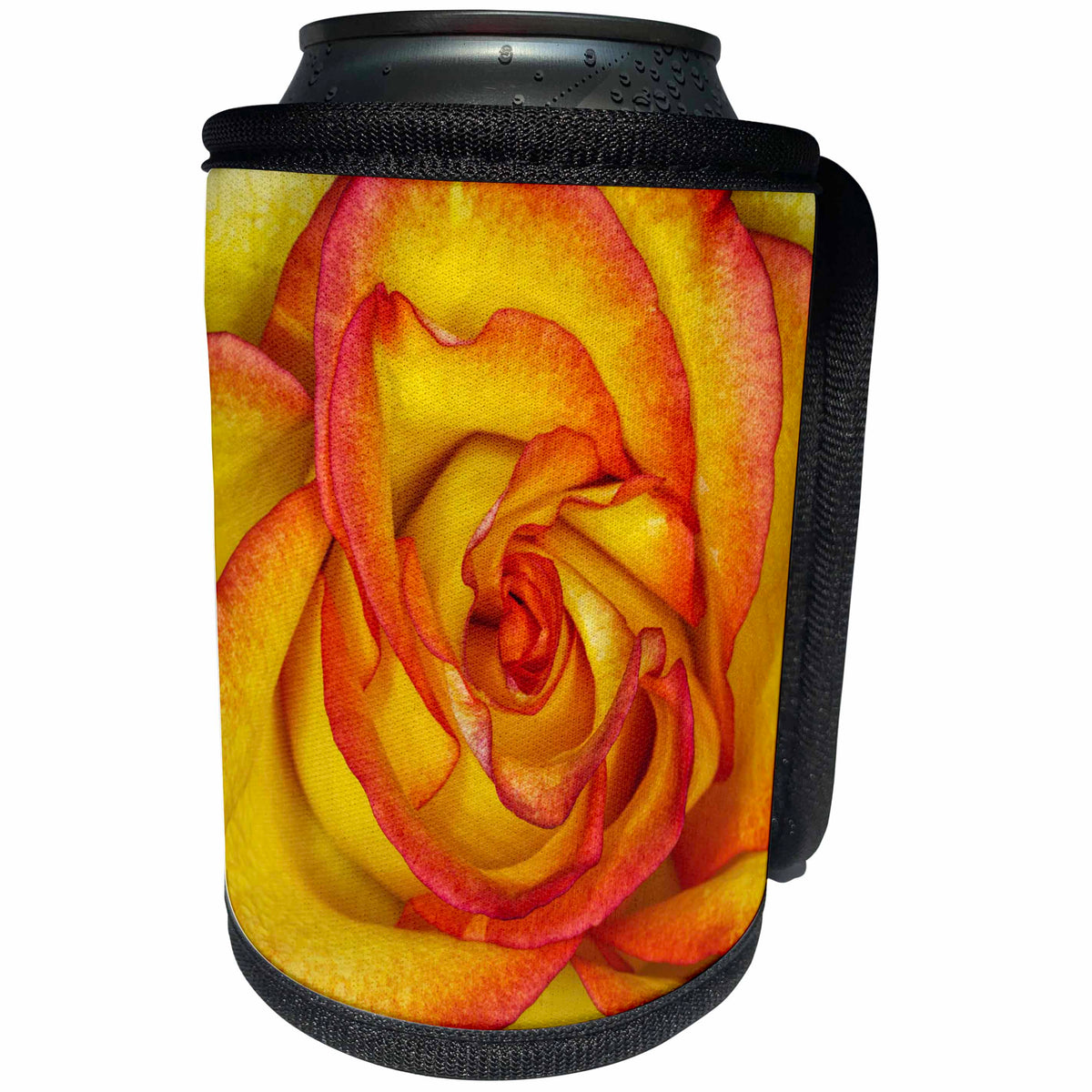 3dRose Danita Delimont - Flowers - Delicate yellow and red rose petals - Can Cooler Bottle Wrap (cc_257983)