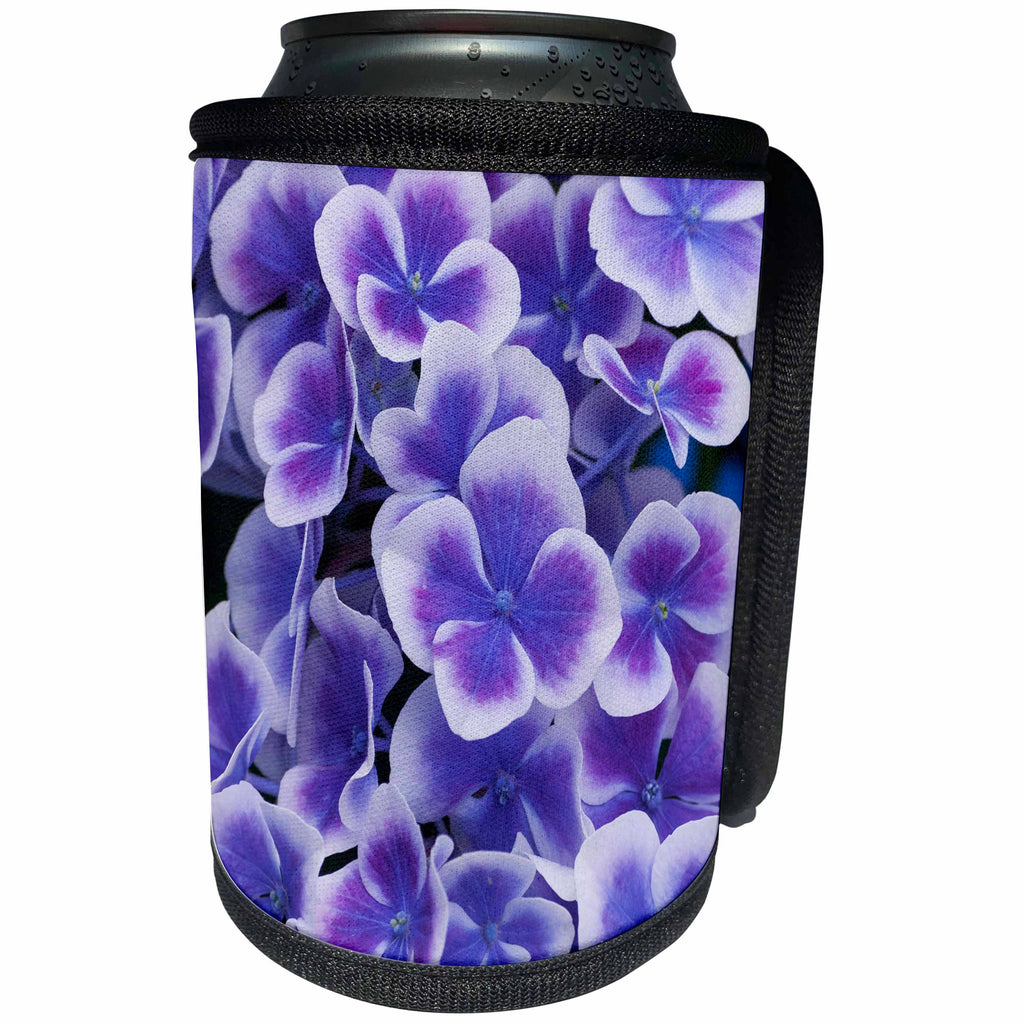 3dRose Danita Delimont - Flowers - Close up of purple Hydrangea blooms - Can Cooler Bottle Wrap (cc_257987)
