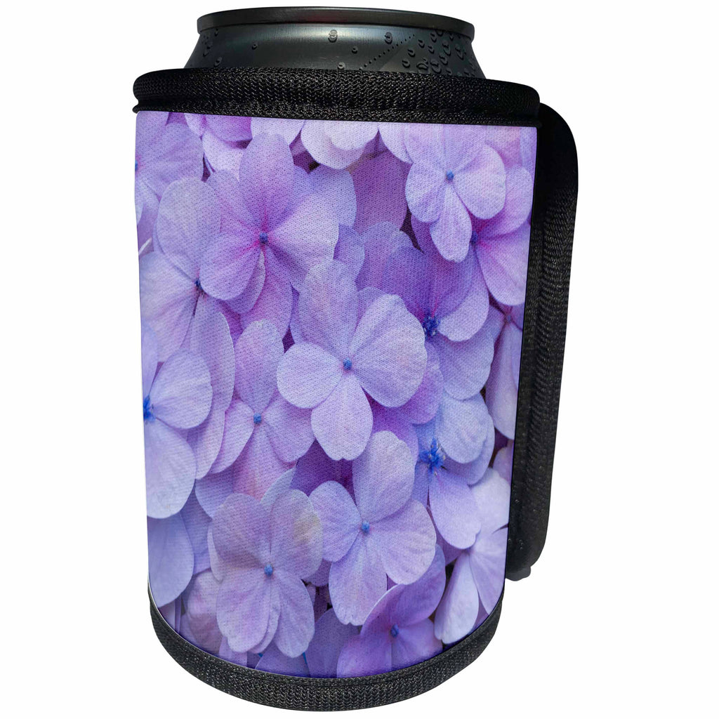 3dRose Danita Delimont - Flowers - Delicate purple Hydrangea blooms - Can Cooler Bottle Wrap (cc_257988)