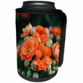 3dRose Danita Delimont - Flowers - orange flowers - Can Cooler Bottle Wrap (cc_257990)