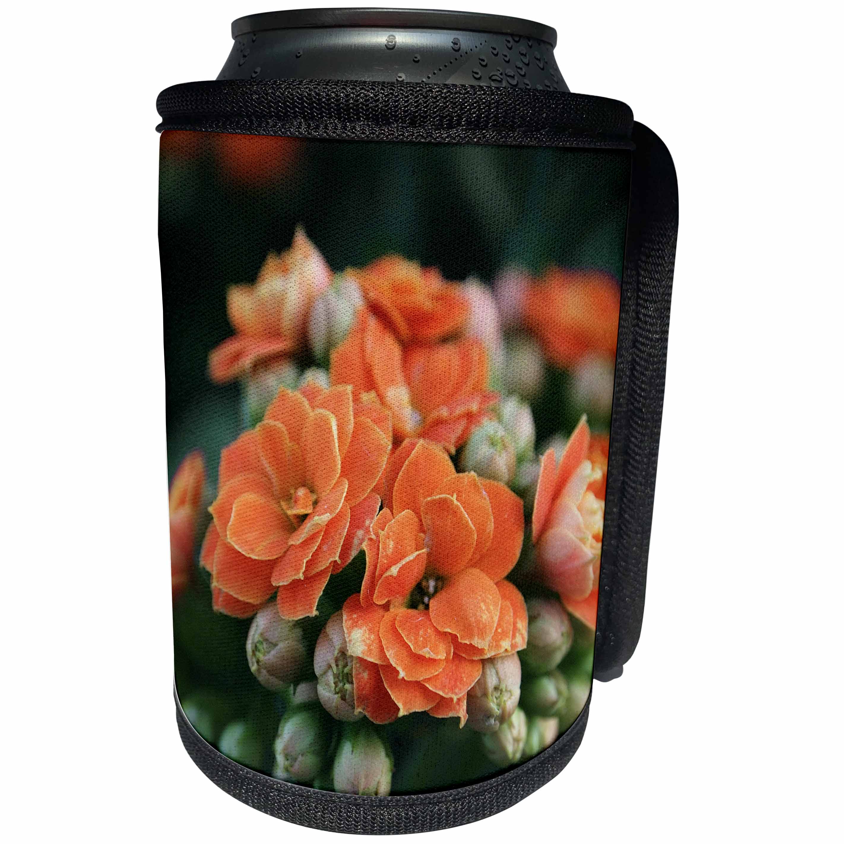 3dRose Danita Delimont - Flowers - orange flowers - Can Cooler Bottle Wrap (cc_257990)