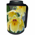 3dRose Danita Delimont - Flowers - Yellow orchid blooms - Can Cooler Bottle Wrap (cc_257997)