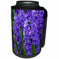 3dRose Danita Delimont - Flowers - Hyacinth in bloom - Can Cooler Bottle Wrap (cc_258003)