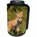 3dRose Danita Delimont - Baby Animals - Young red fox running, Vulpes vulpes - Can Cooler Bottle Wrap (cc_258016)