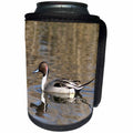 3dRose Danita Delimont - Ducks - A male pintail duck glides on a pond in a wetland marsh. - Can Cooler Bottle Wrap (cc_258019)