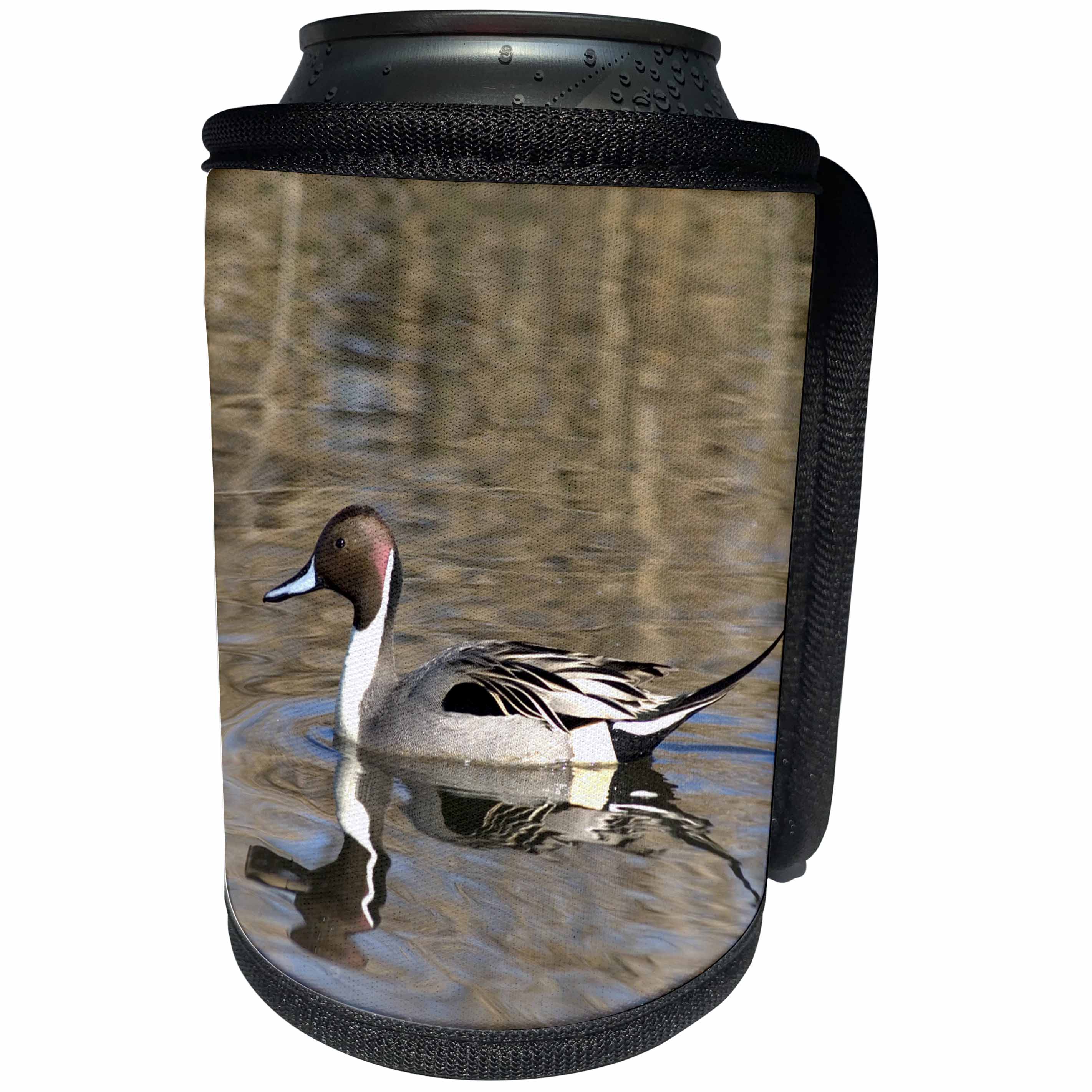 3dRose Danita Delimont - Ducks - A male pintail duck glides on a pond in a wetland marsh. - Can Cooler Bottle Wrap (cc_258019)