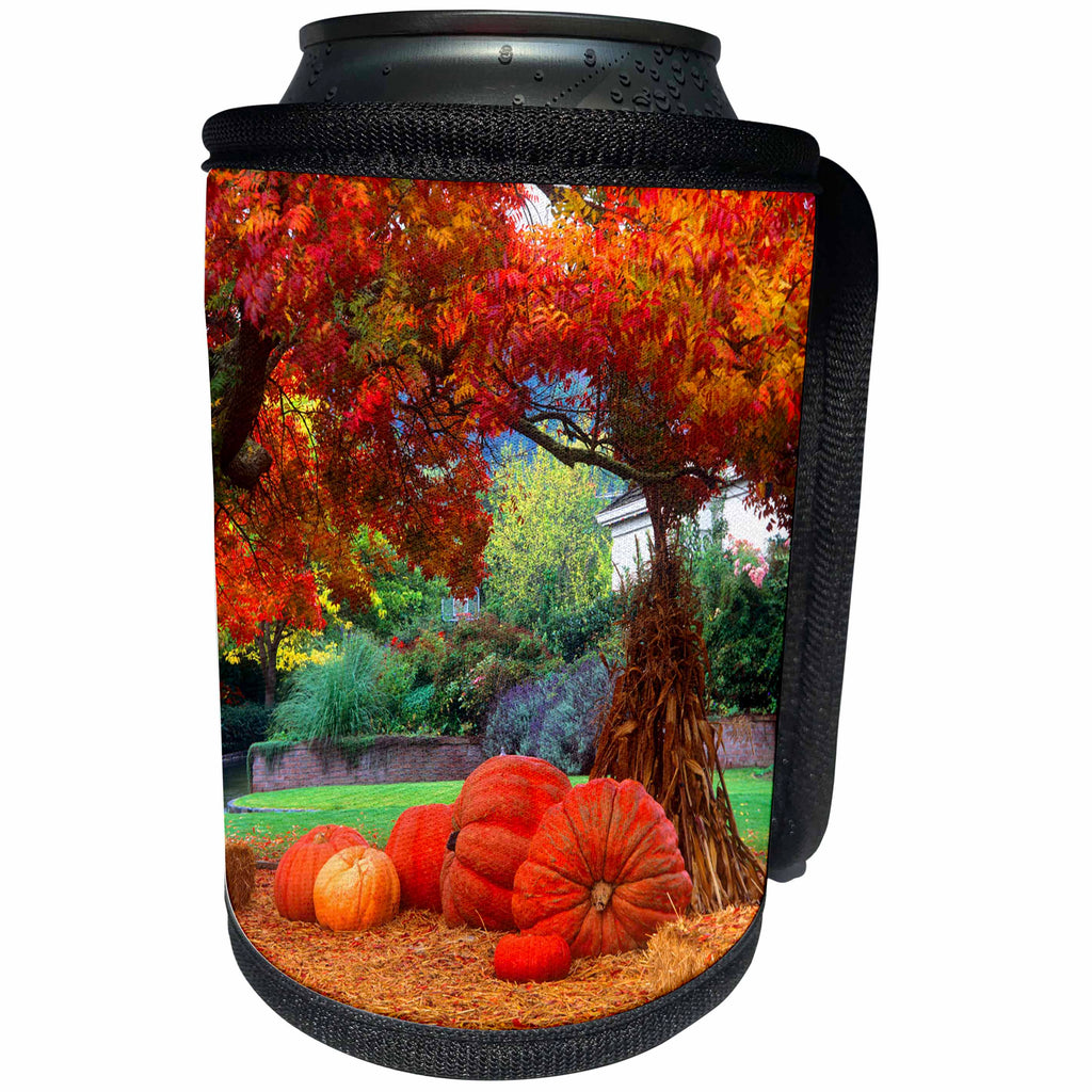 3dRose Danita Delimont - Holiday - Halloween decorations of pumpkins and corn stalks in front of a home - Can Cooler Bottle Wrap (cc_258021)