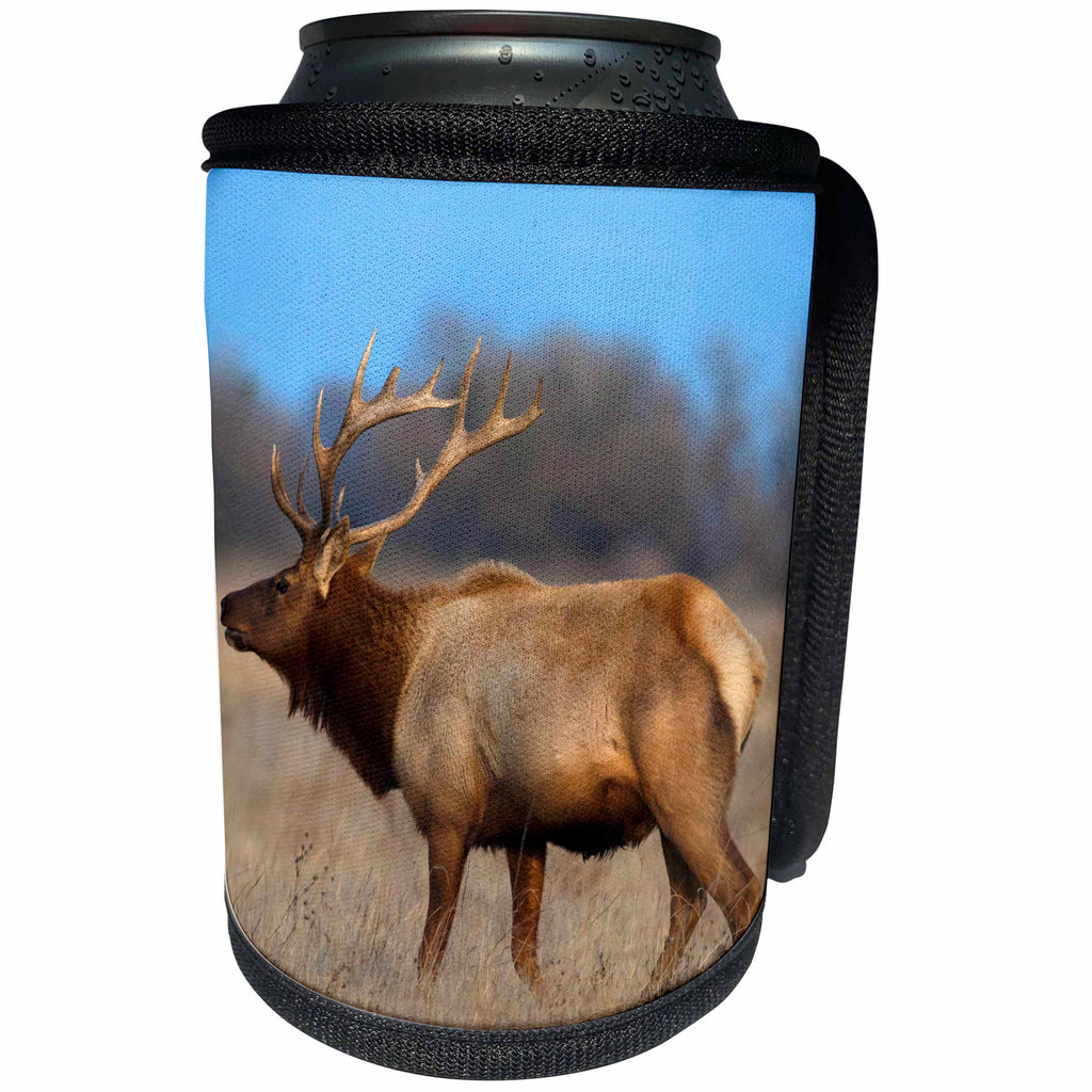 3dRose Danita Delimont - Elk - Profile photo of a Male Elk, cervus canadensis - Can Cooler Bottle Wrap (cc_258022)