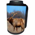 3dRose Danita Delimont - Elk - Profile photo of a Male Elk, cervus canadensis - Can Cooler Bottle Wrap (cc_258022)