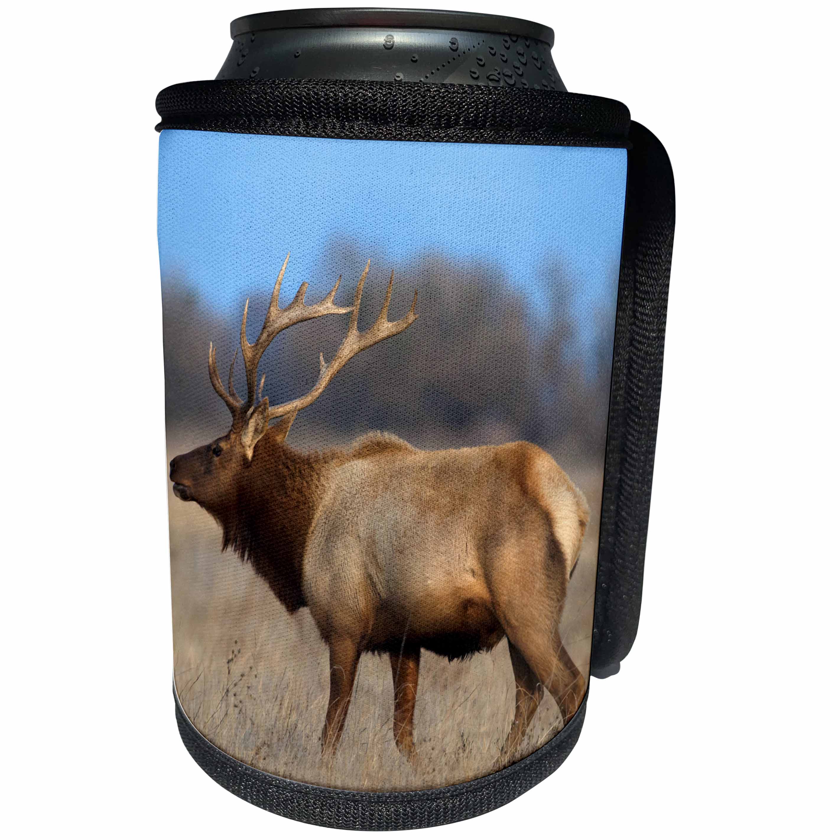 3dRose Danita Delimont - Elk - Profile photo of a Male Elk, cervus canadensis - Can Cooler Bottle Wrap (cc_258022)