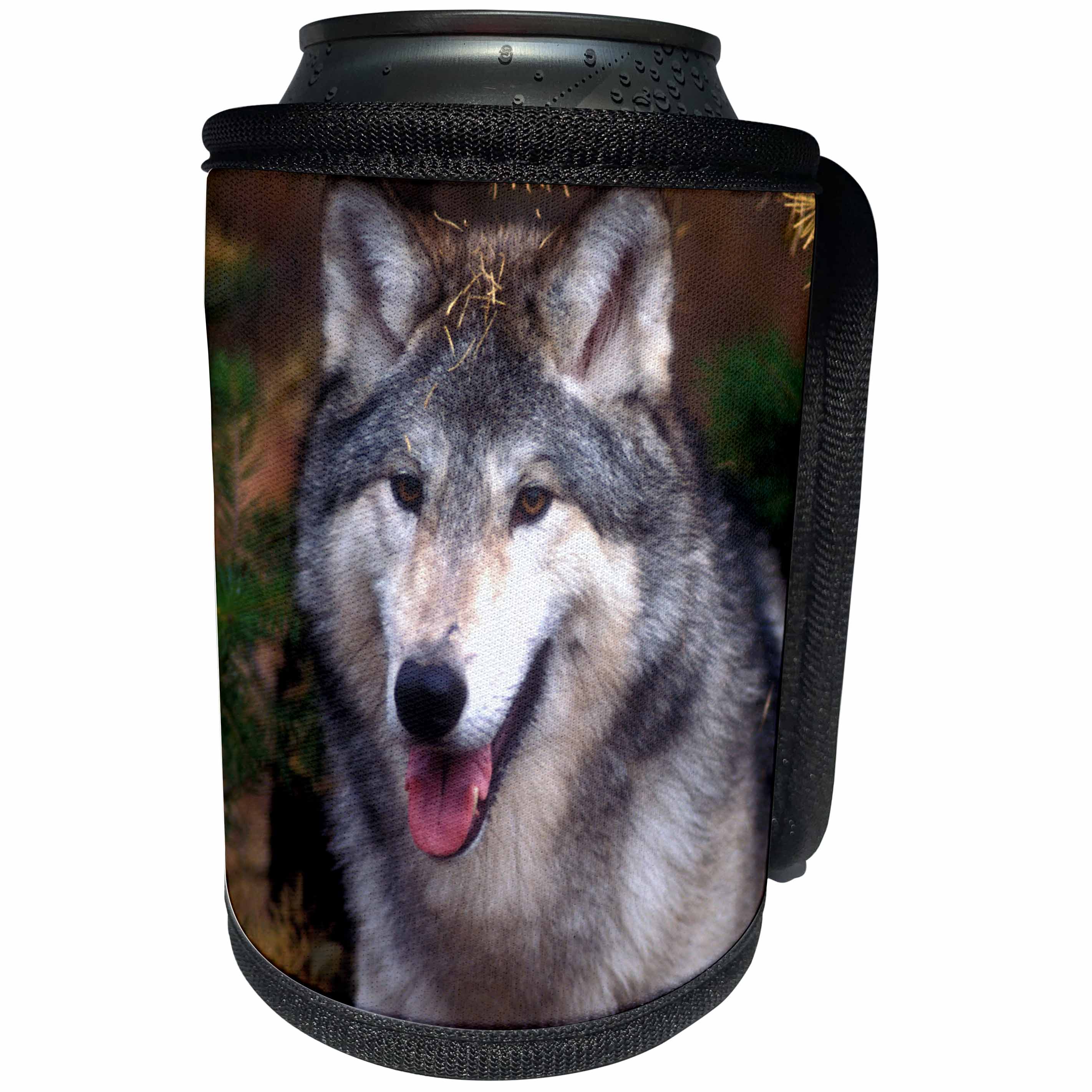 3dRose Danita Delimont - Wolves - Gray wolf under a tree - Can Cooler Bottle Wrap (cc_258024)