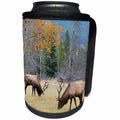 3dRose Danita Delimont - Elk - Rocky Mountain Bull Elk Foraging - Can Cooler Bottle Wrap (cc_258032)