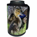 3dRose Danita Delimont - Ducks - Mallard Duckling - Can Cooler Bottle Wrap (cc_258039)