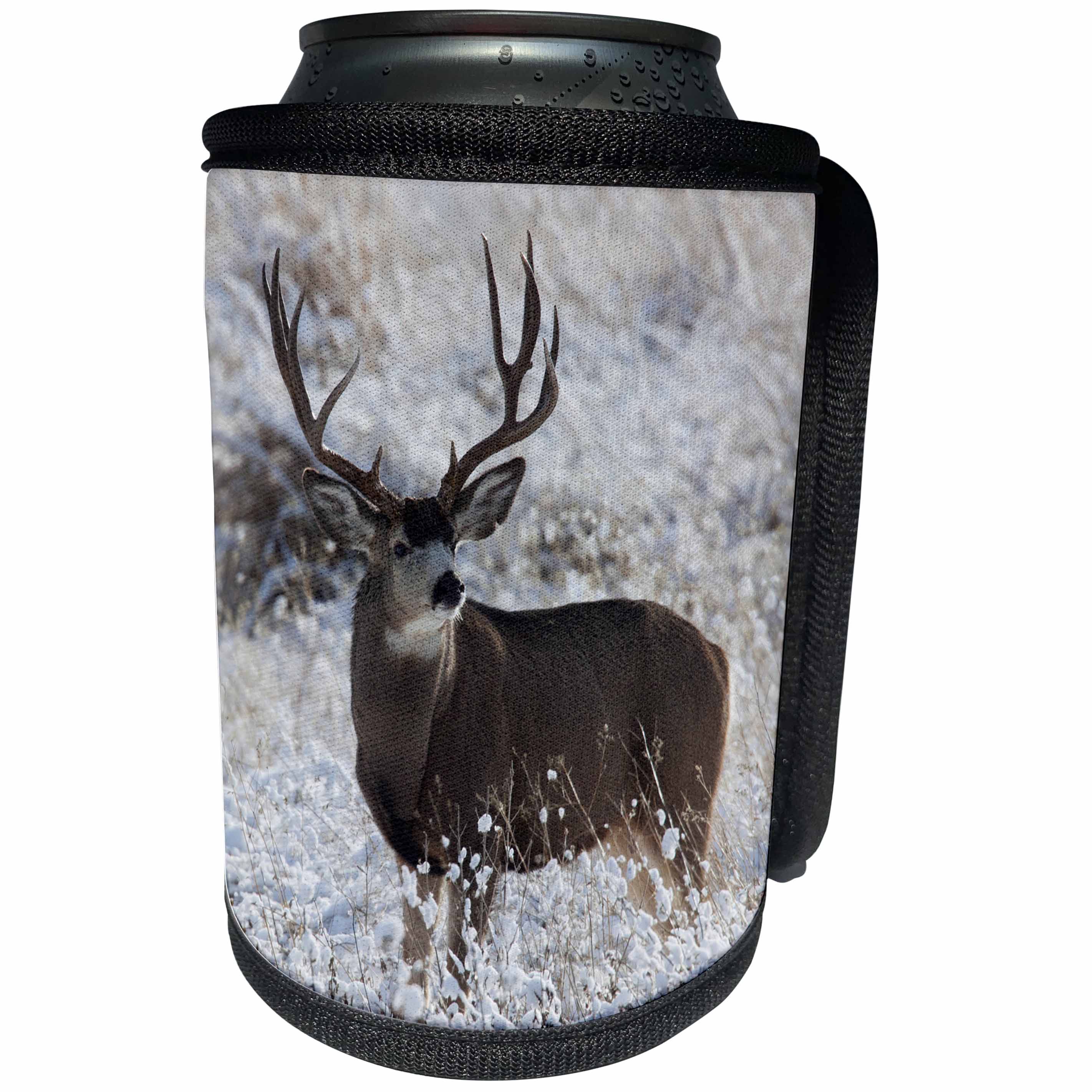 3dRose Danita Delimont - Deer - Mule Deer Buck in late Autumn Snow - Can Cooler Bottle Wrap (cc_258040)