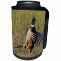 3dRose Danita Delimont - Birds - Ring-necked Pheasant Crowing - Can Cooler Bottle Wrap (cc_258046)