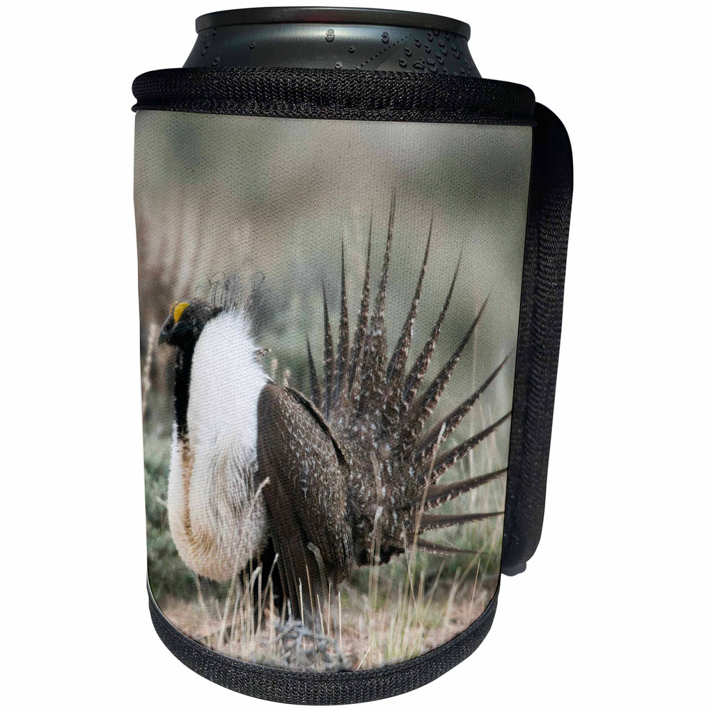 3dRose Danita Delimont - Birds - Greater Sage Grouse - Can Cooler Bottle Wrap (cc_258047)