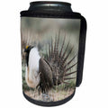 3dRose Danita Delimont - Birds - Greater Sage Grouse - Can Cooler Bottle Wrap (cc_258047)