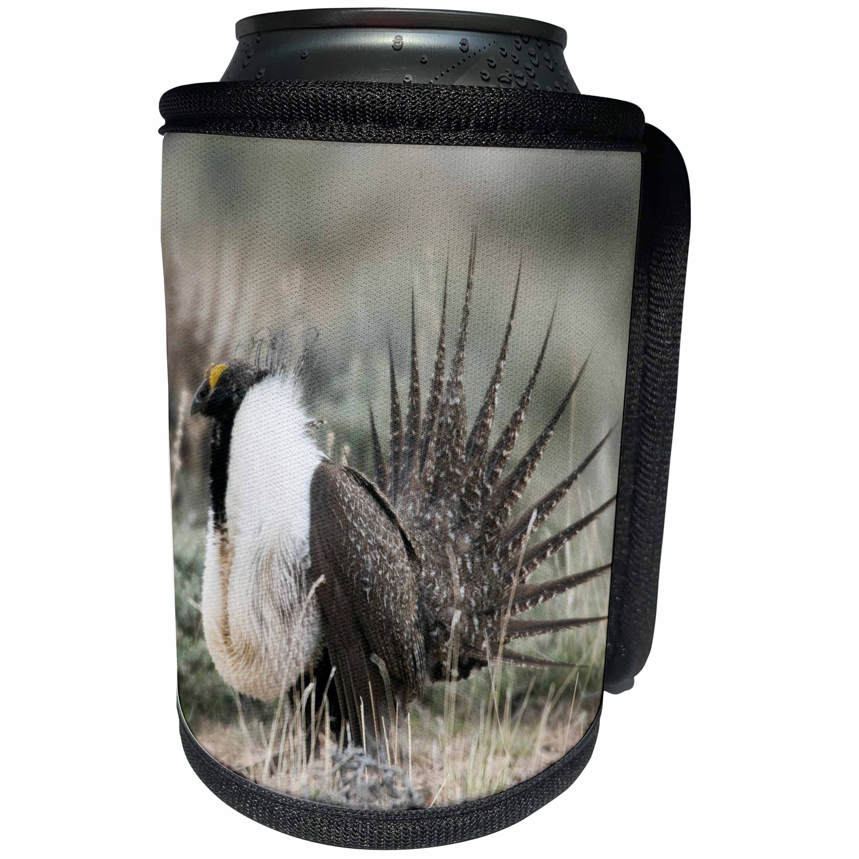 3dRose Danita Delimont - Birds - Greater Sage Grouse - Can Cooler Bottle Wrap (cc_258047)