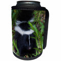 3dRose Danita Delimont - Skunks - Striped Skunk Kit - Can Cooler Bottle Wrap (cc_258048)