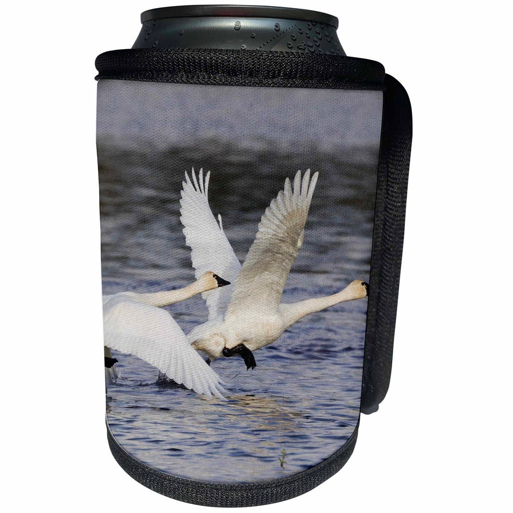 3dRose Danita Delimont - Birds - Tundra Swans - Can Cooler Bottle Wrap (cc_258049)