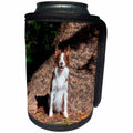3dRose Danita Delimont - Dogs - Border Collie sitting by massive tree trunk, MR - Can Cooler Bottle Wrap (cc_258167)