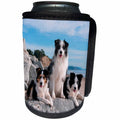 3dRose Danita Delimont - Dogs - Three Border Collies on boulder at beach - Can Cooler Bottle Wrap (cc_258171)