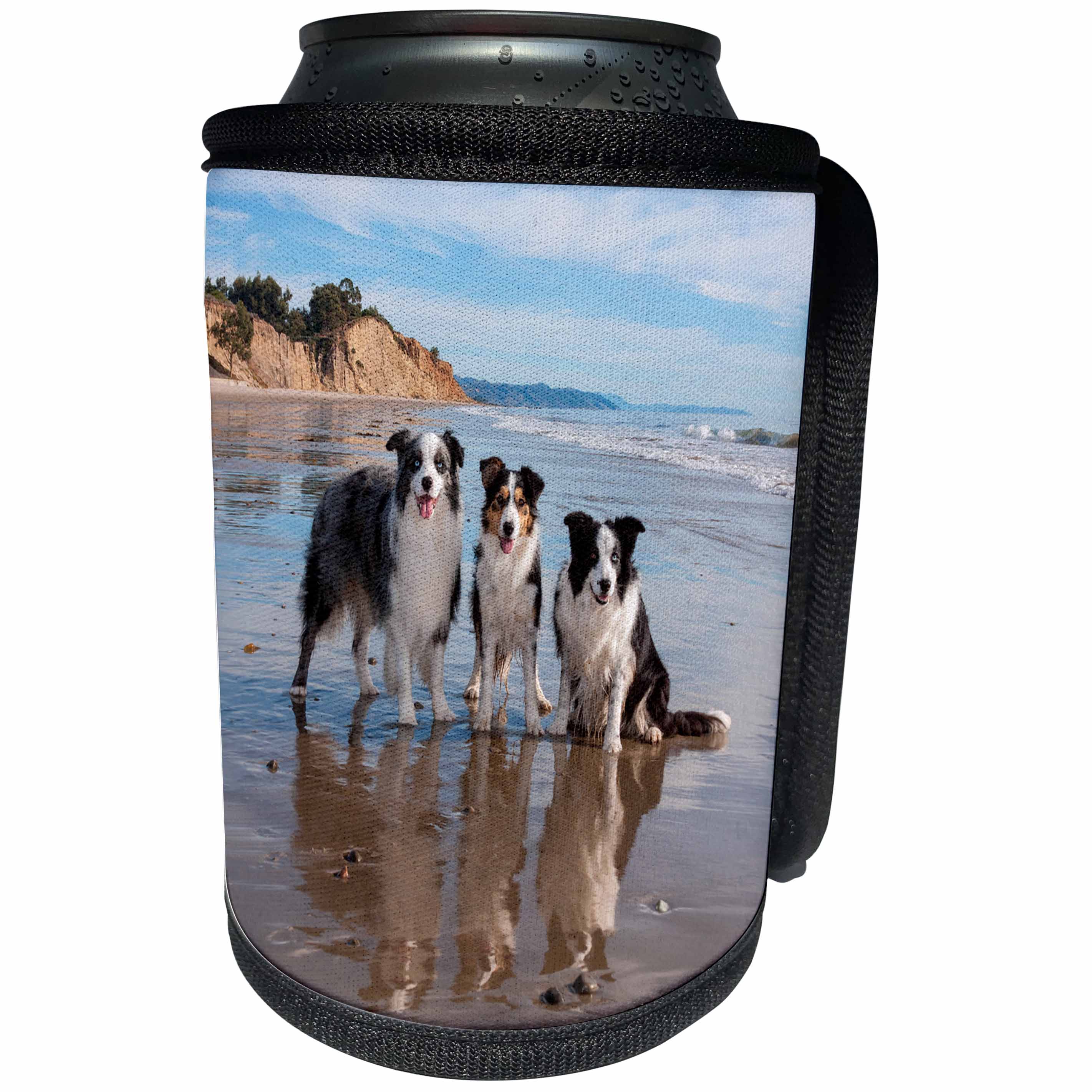 3dRose Danita Delimont - Dogs - Three Border Collies at low surf - Can Cooler Bottle Wrap (cc_258173)