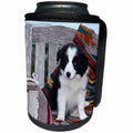 3dRose Danita Delimont - Puppies - Border Collie Puppy sitting - Can Cooler Bottle Wrap (cc_258175)