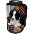 3dRose Danita Delimont - Puppies - Border Collie Puppy lying on blankets - Can Cooler Bottle Wrap (cc_258176)