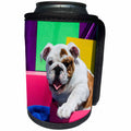 3dRose Danita Delimont - Dogs - Bulldog Puppy sitting in colorful box, MR - Can Cooler Bottle Wrap (cc_258179)