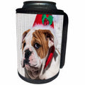 3dRose Danita Delimont - Dogs - Bulldog Puppy with Christmas hat on, MR - Can Cooler Bottle Wrap (cc_258181)