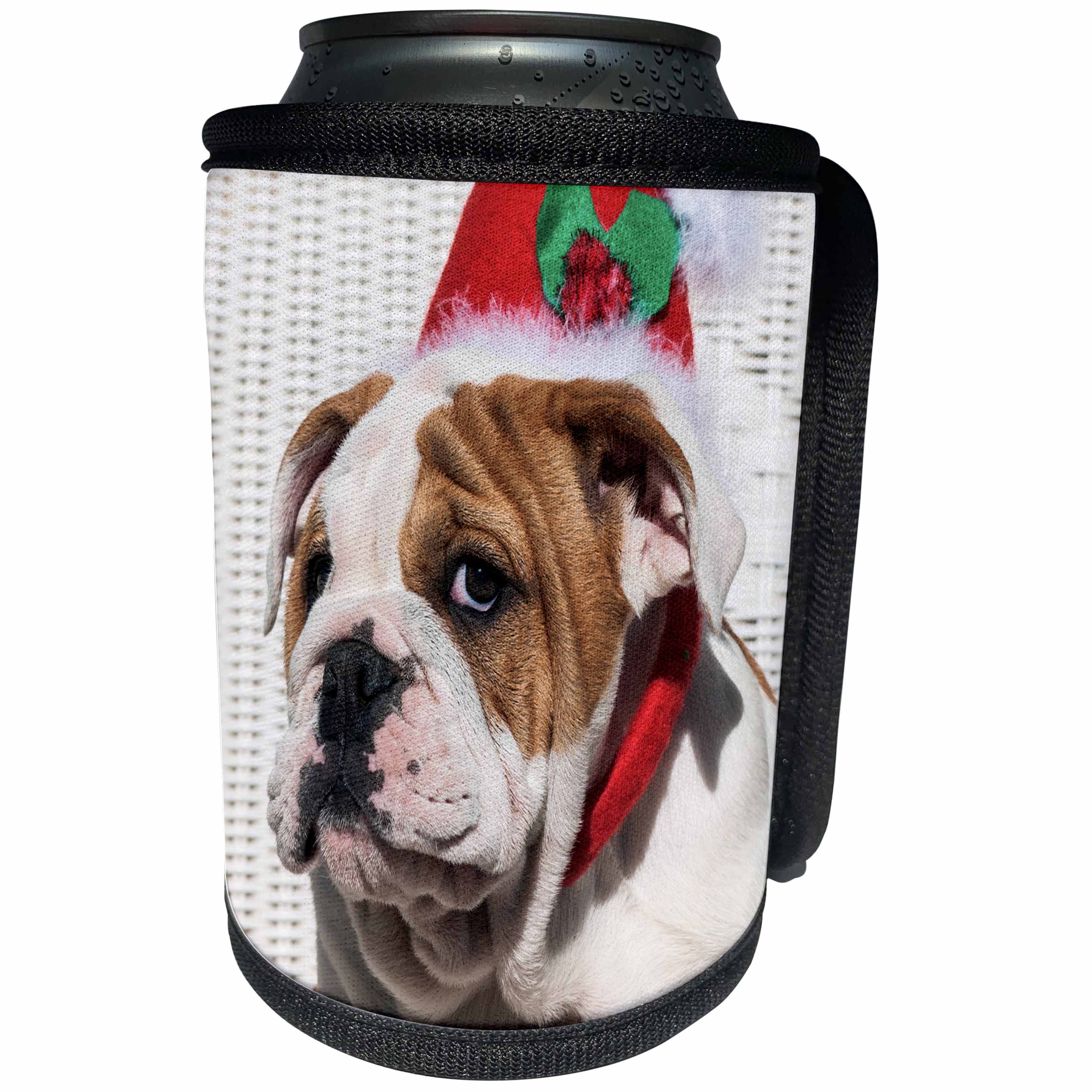 3dRose Danita Delimont - Dogs - Bulldog Puppy with Christmas hat on, MR - Can Cooler Bottle Wrap (cc_258181)