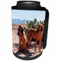 3dRose Danita Delimont - Dogs - Bloodhounds in the Sonoran Desert, MR - Can Cooler Bottle Wrap (cc_258191)