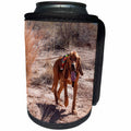 3dRose Danita Delimont - Dogs - Search and Rescue Bloodhound walks in the Sonoran Desert, Arizona, MR - Can Cooler Bottle Wrap (cc_258194)