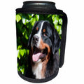 3dRose Danita Delimont - Dogs - Happy Bernese Mountain Dog. - Can Cooler Bottle Wrap (cc_258196)