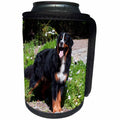 3dRose Danita Delimont - Dogs - Happy Bernese Mountain Dog at the park - Can Cooler Bottle Wrap (cc_258198)