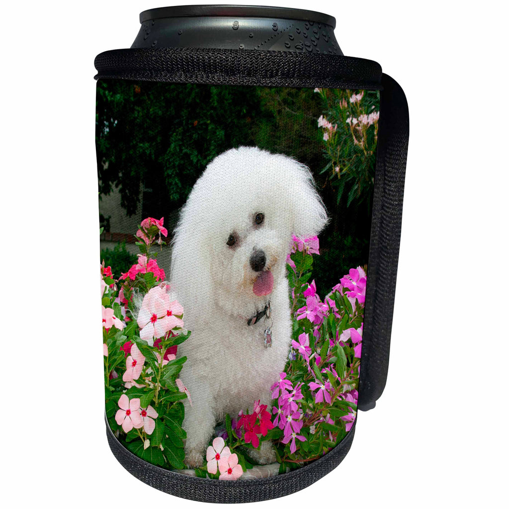 3dRose Danita Delimont - Dogs - Bichon Frise in a flower pot - Can Cooler Bottle Wrap (cc_258202)