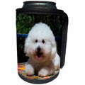 3dRose Danita Delimont - Dogs - Bichon Frise on colorful tile table top, MR - Can Cooler Bottle Wrap (cc_258204)