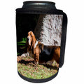 3dRose Danita Delimont - Dogs - Basset Hound standing near tree trunk, MR - Can Cooler Bottle Wrap (cc_258207)