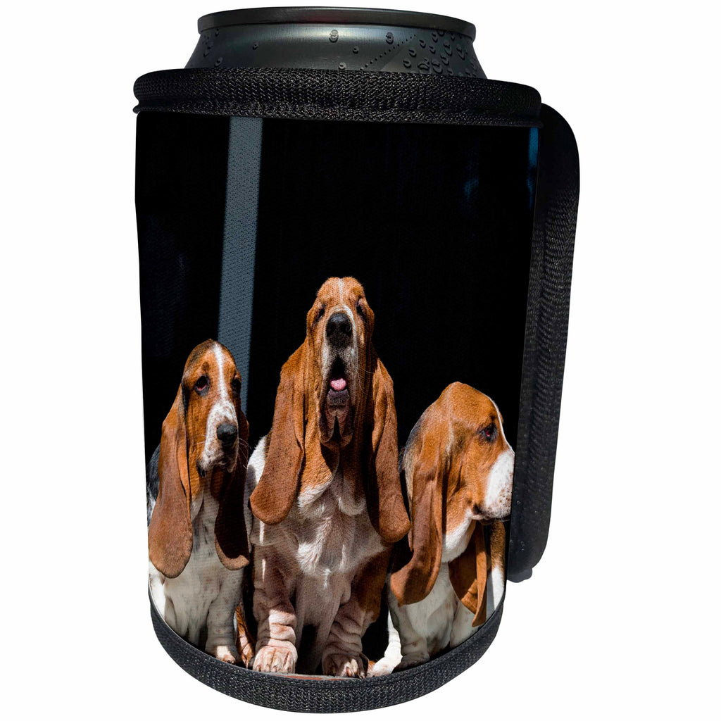 3dRose Danita Delimont - Dogs - Trio of Basset Hounds, MR - Can Cooler Bottle Wrap (cc_258209)