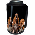 3dRose Danita Delimont - Dogs - Trio of Basset Hounds, MR - Can Cooler Bottle Wrap (cc_258209)