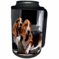 3dRose Danita Delimont - Dogs - Basset Hounds on red brick patio, MR - Can Cooler Bottle Wrap (cc_258210)