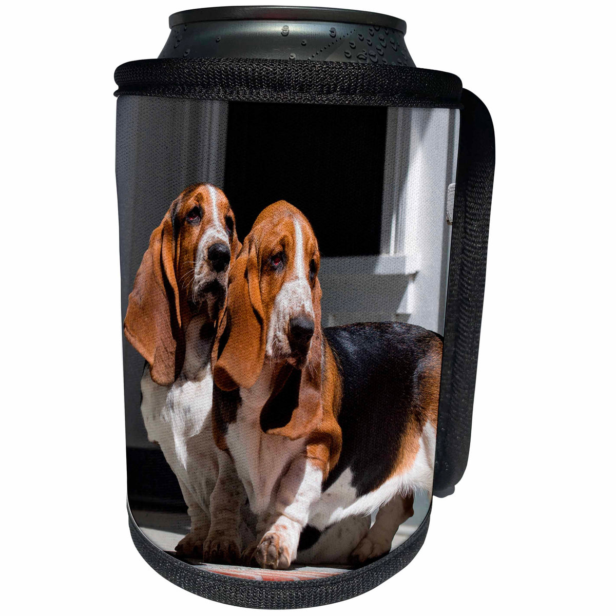 3dRose Danita Delimont - Dogs - Basset Hounds on red brick patio, MR - Can Cooler Bottle Wrap (cc_258210)